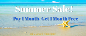 Summer Sale
