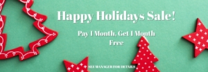 December promo banner